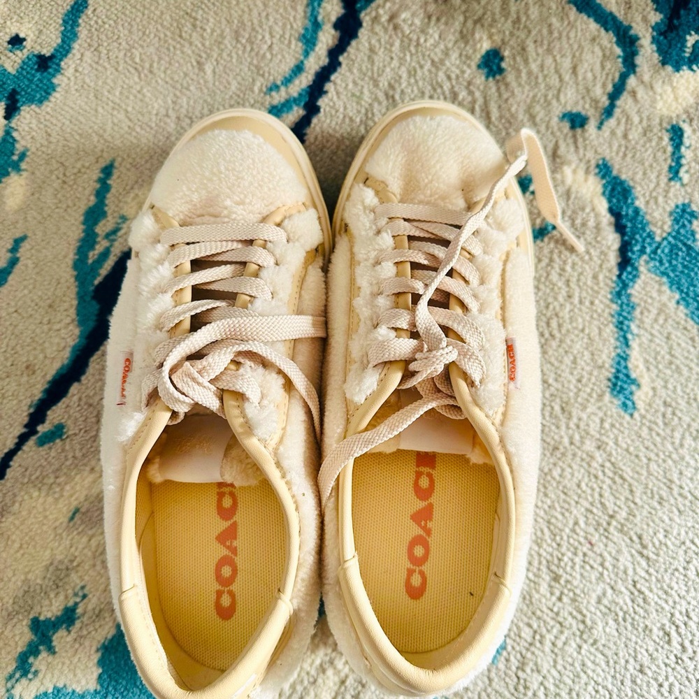 Coach sneakers, teddy look
